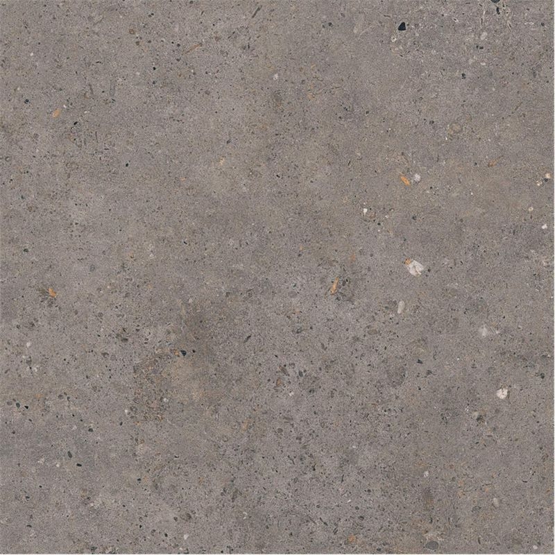 BIOPHILIC/バイオフィリック - 600角平