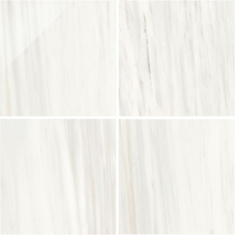 BIANCO MARMO/ビアンコマルモ - 600角 磨き