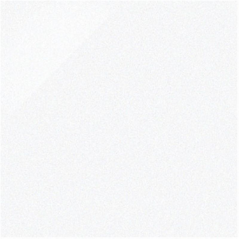 NEW CENTURY/ニューセンチュリー - 300角 磨き