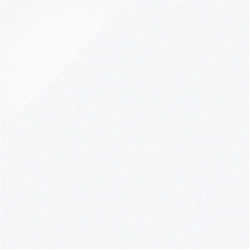 NEW CENTURY/ニューセンチュリー - 600角 磨き