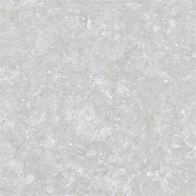SCANDINAVIAN STONE/スカンジナビアン ストン - 600角 部分磨き