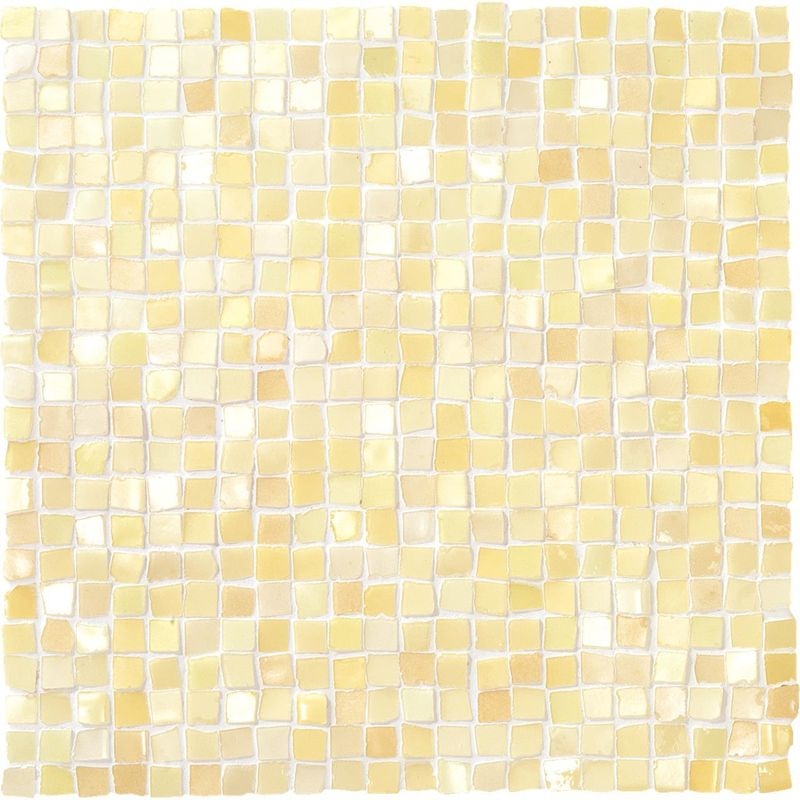 CARNEVALEⅡ/カルネバーレⅡ - 13角イレギュラー（裏ネット貼り）
