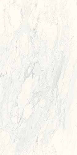 サムネイル 1