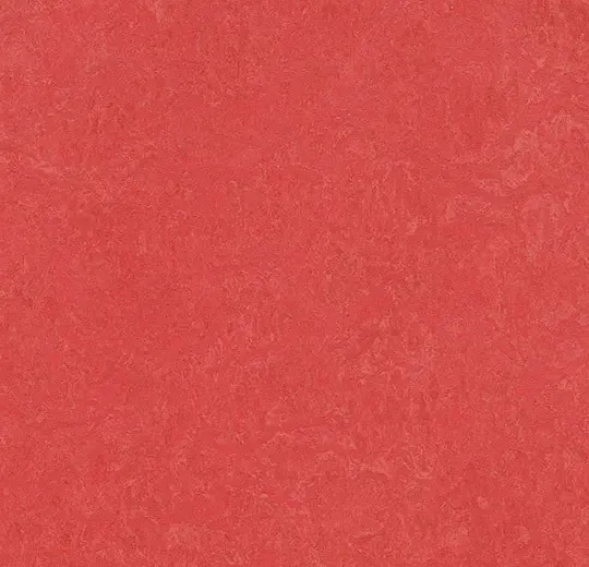 商品画像 1