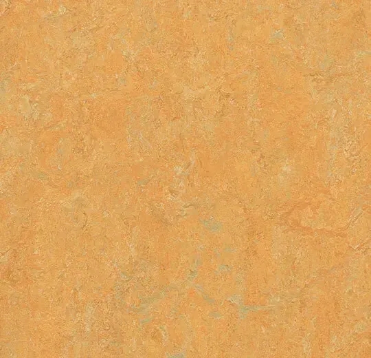 商品画像 1