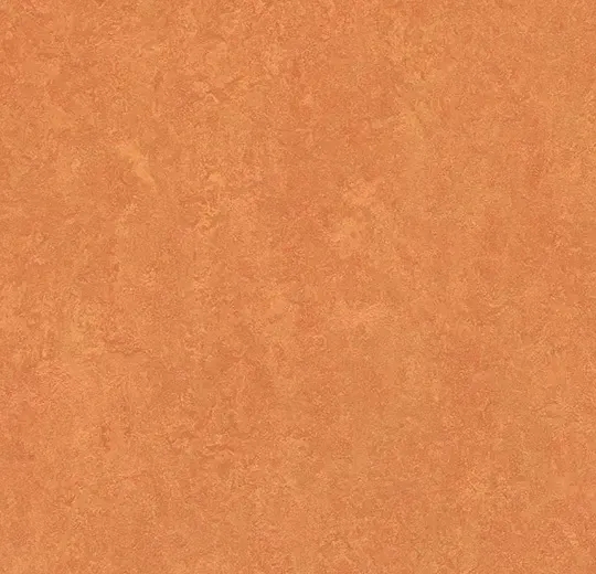 商品画像 1