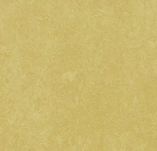 商品画像 1
