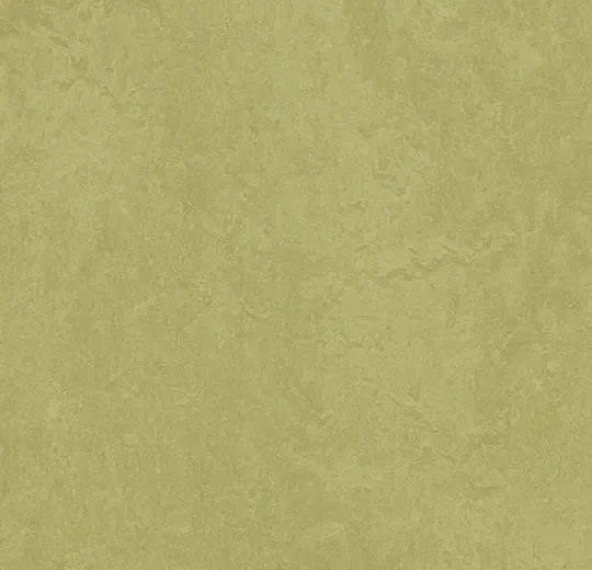 商品画像 1