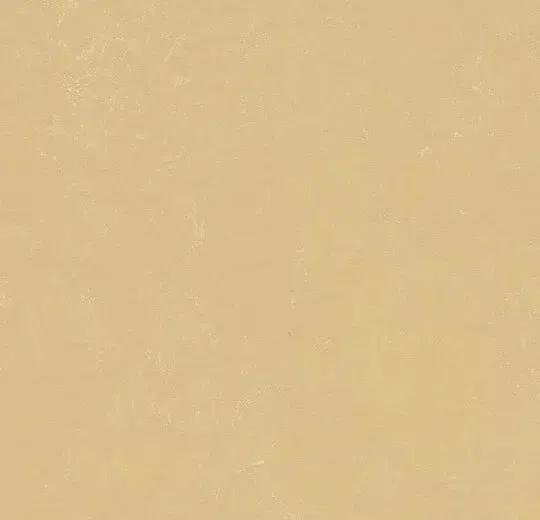 商品画像 1