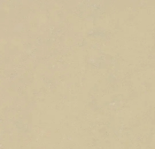 商品画像 1