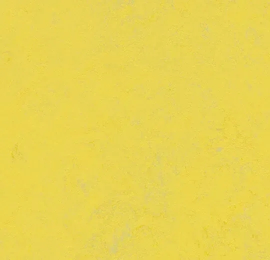天然リノリウム　マーモリウム・コンクリート/MARMOLEUM - Yellow glow