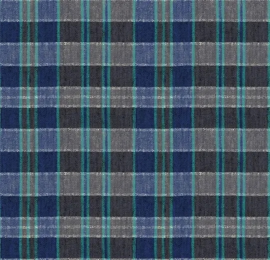 ヴィジョン・パターン/FLOTEX - Plaid Steel