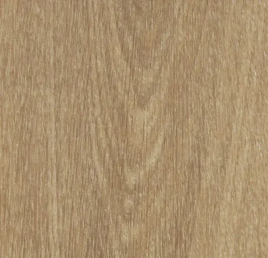 アルーラクリックプロ/ALLURA - natural giant oak