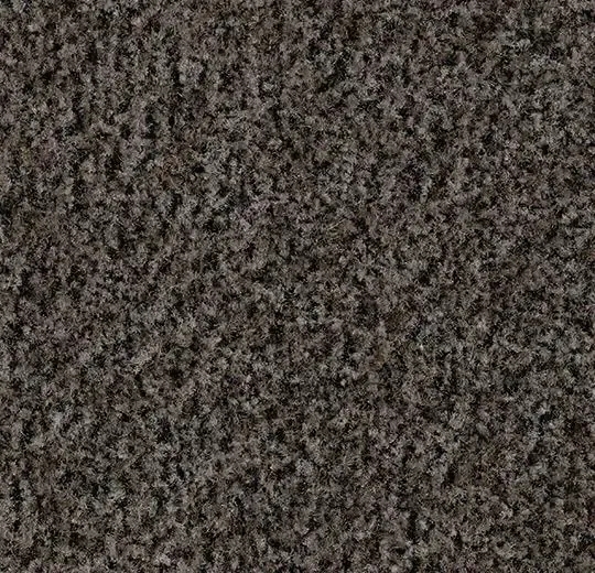 コーラル・ブラッシュ