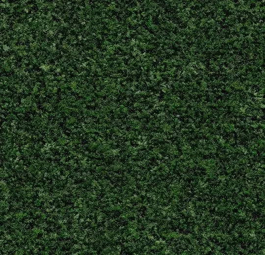 コーラル・ブラッシュ/CORAL - avocado green