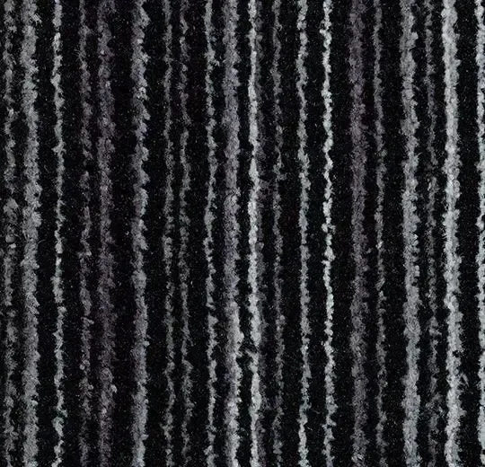 コーラル・ウェルカム/CORAL - silver shadow