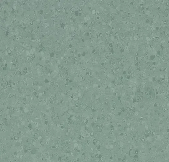 spheraelement/sphera - kelp