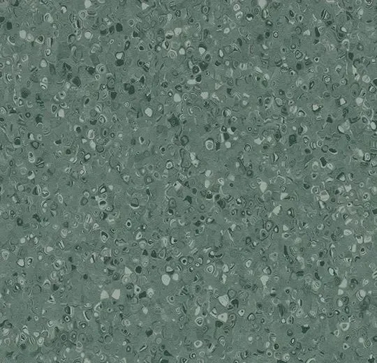 spheraelement/sphera - Contrast kelp