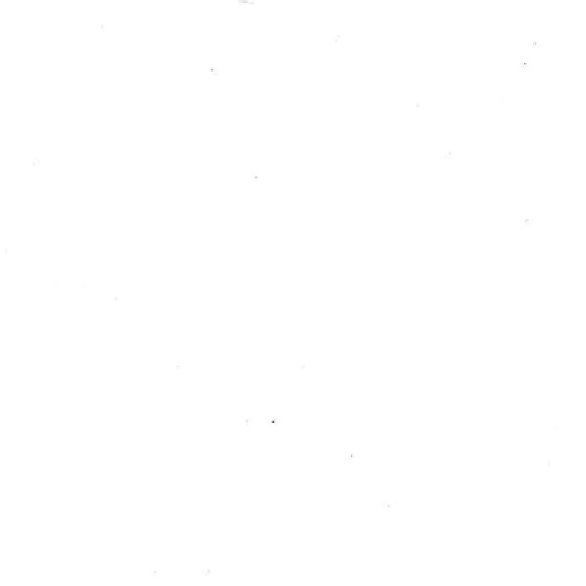 TORINOKO