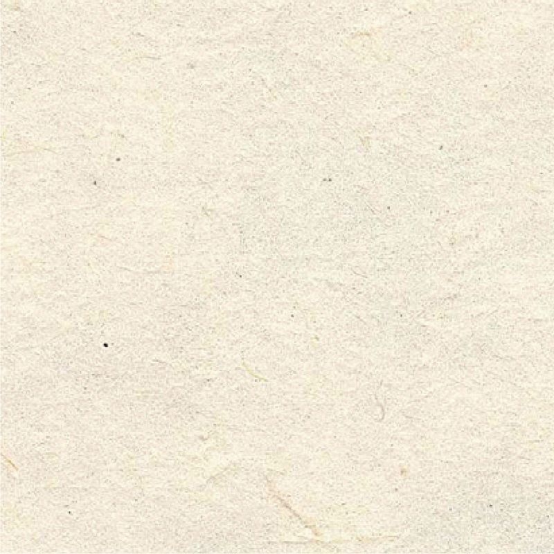LOKTA/ロクタ