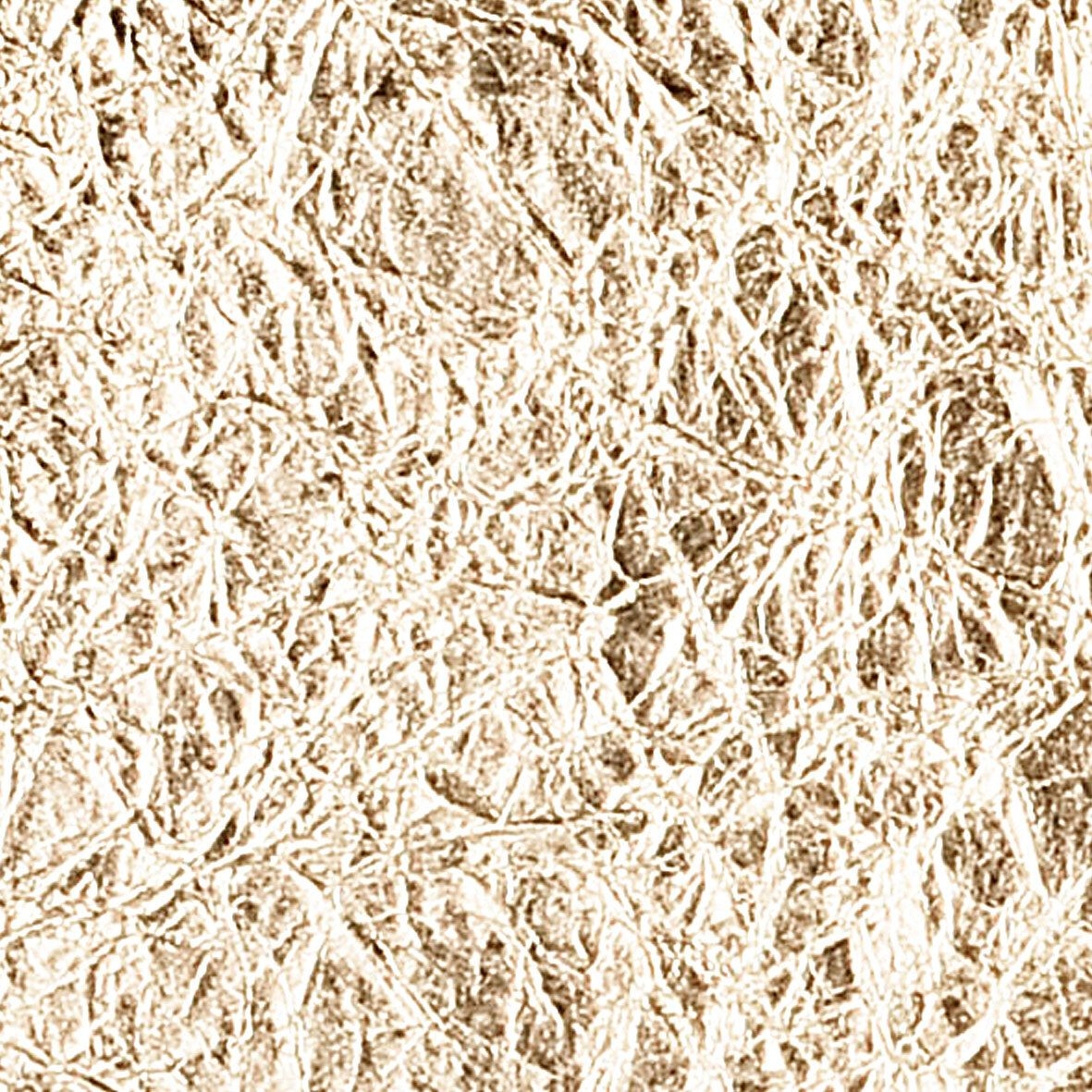 LAGOON/ラグーン TECTURE（テクチャー）