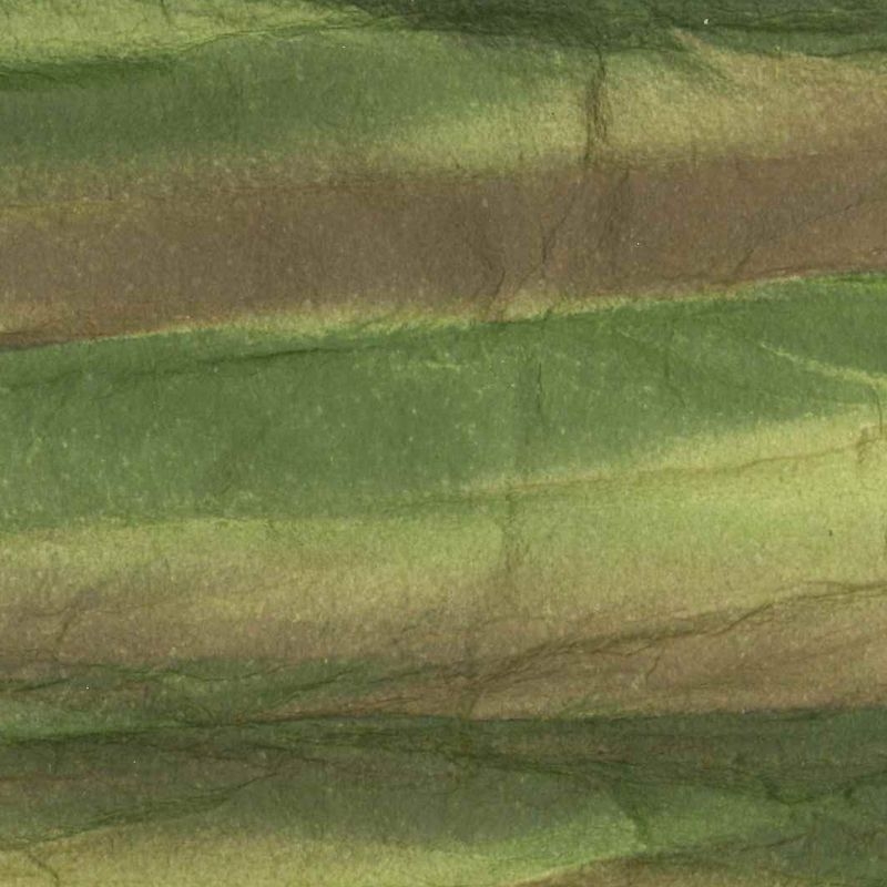 GRASS