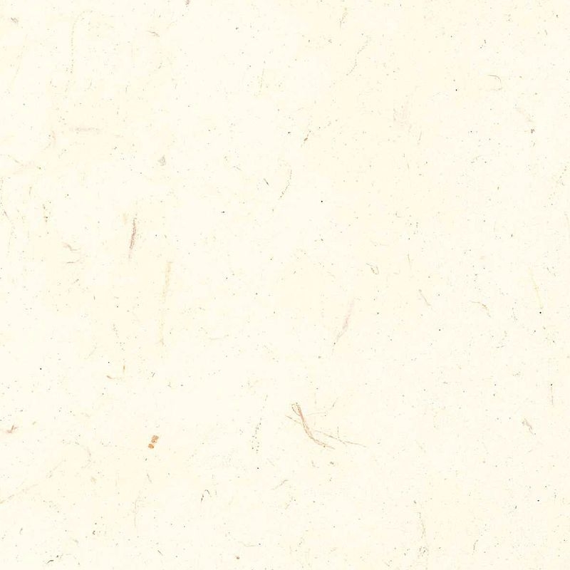 LOKTA