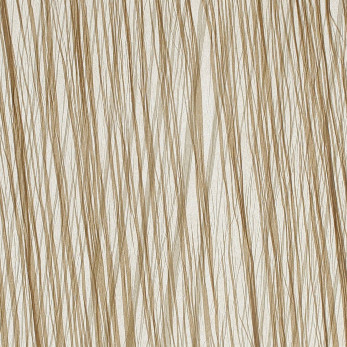 商品画像 1