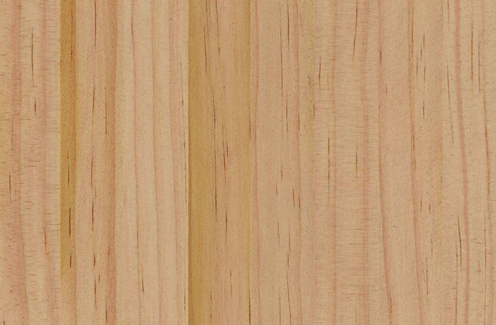 EW8 WALL