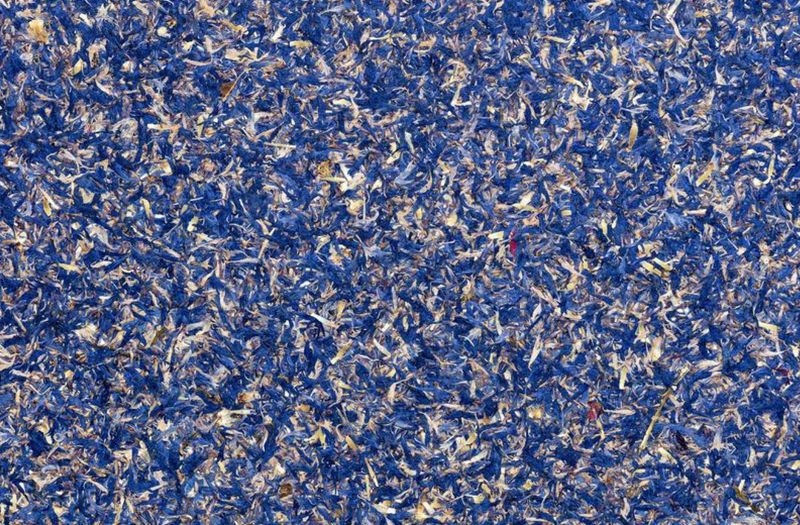 ORGANOID DECORATIVE COATINGS - ヤグルマギク（あさぎ色）