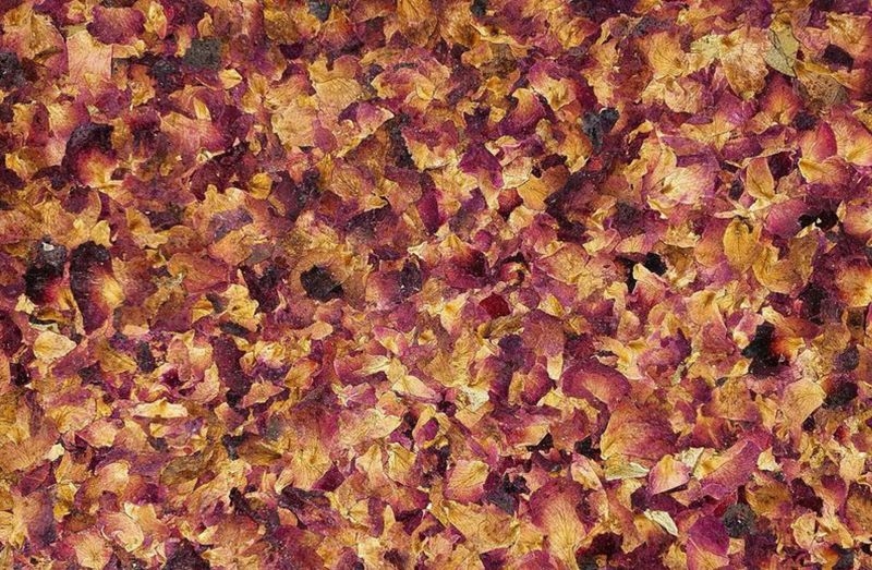 ORGANOID DECORATIVE COATINGS - ローズ