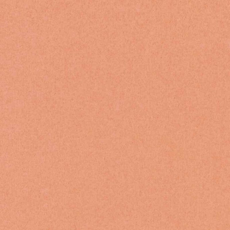 ワーロンシート/日本の色シリーズ - 柿色（かきいろ）無地