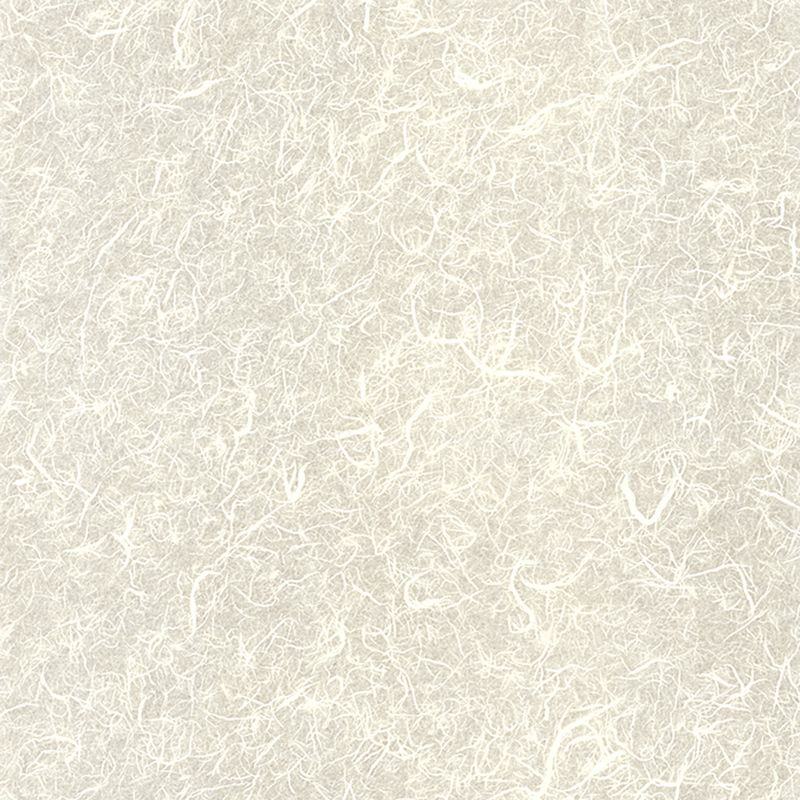 ワーロンシート/工芸和紙シリーズ - 生なり荒雲竜