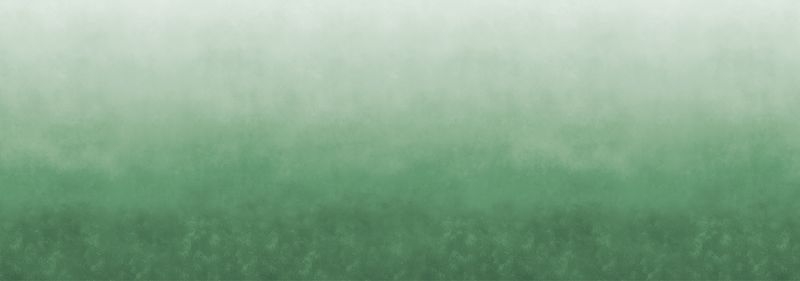 PAINT