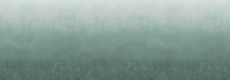 PAINT