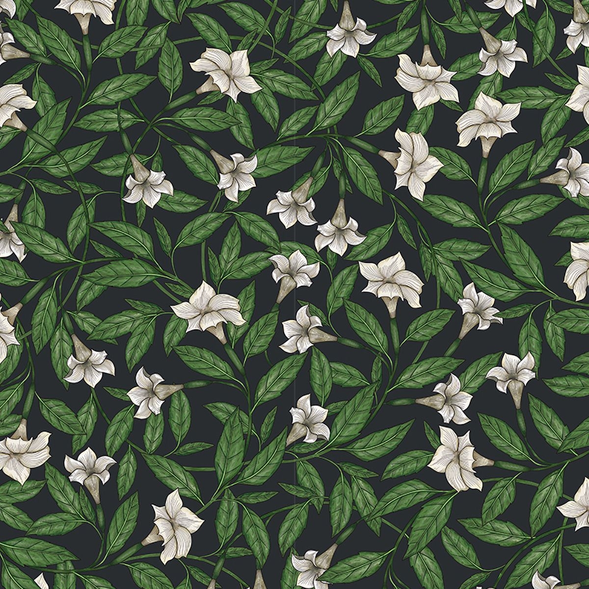 Datura