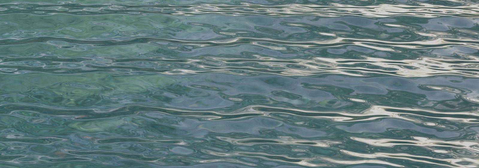 レイアウト用品 水の流れ クリーチャー FLUID | TECTURE（テクチャー）