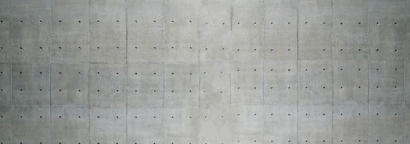 Echo