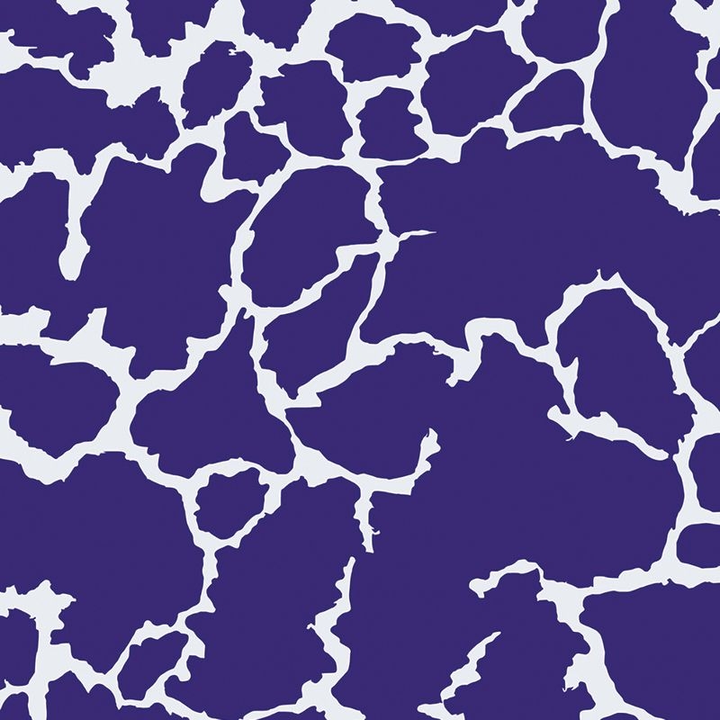 SPECKLE