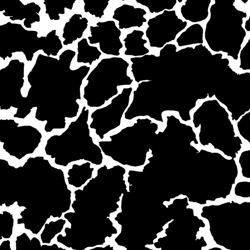 SPECKLE
