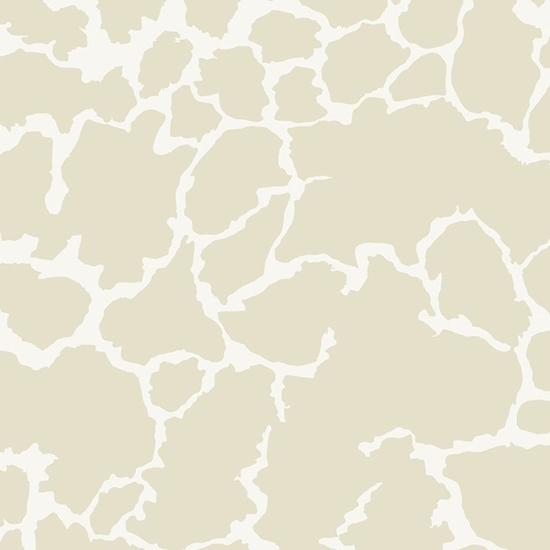 SPECKLE
