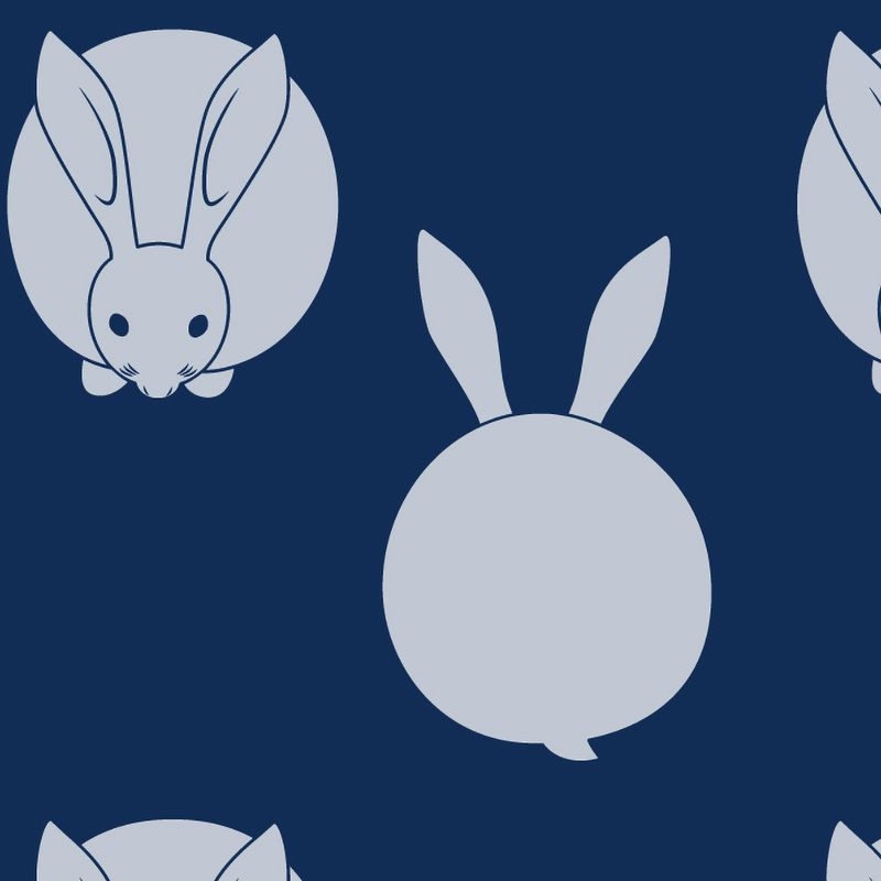 兎 USAGI