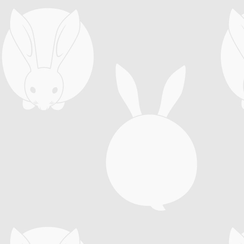 兎 USAGI