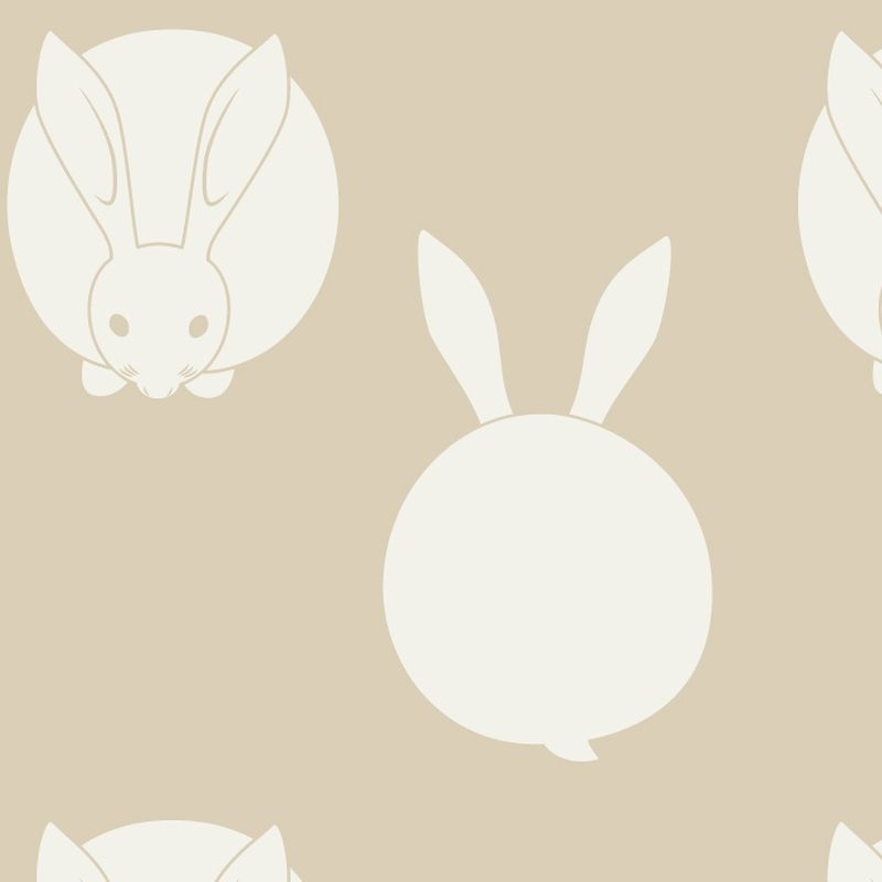 兎 USAGI