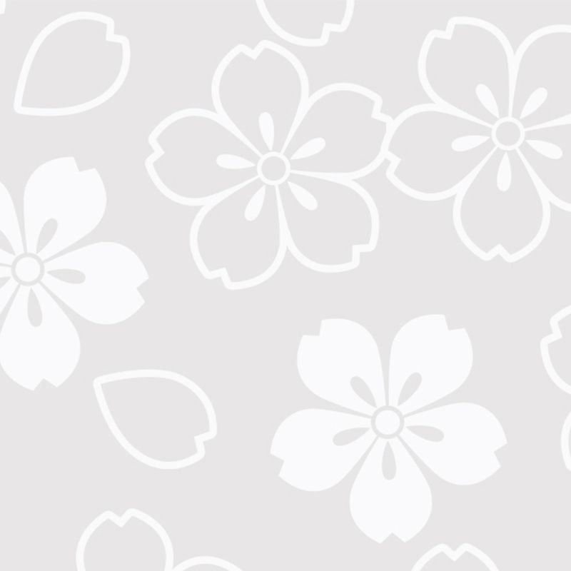 桜ちらし SAKURA CHIRASHI