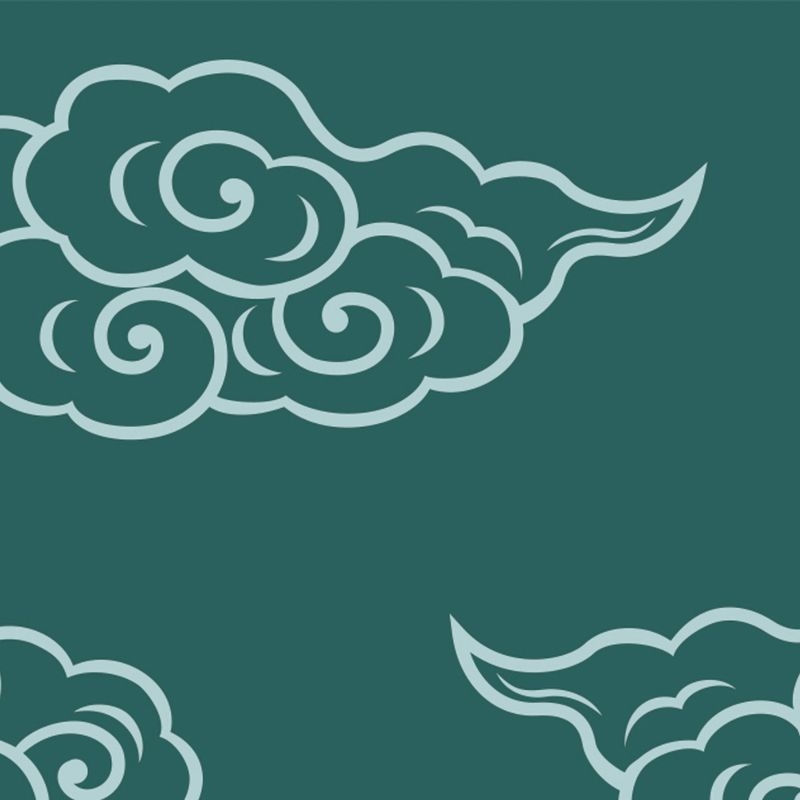飛雲 HIUN