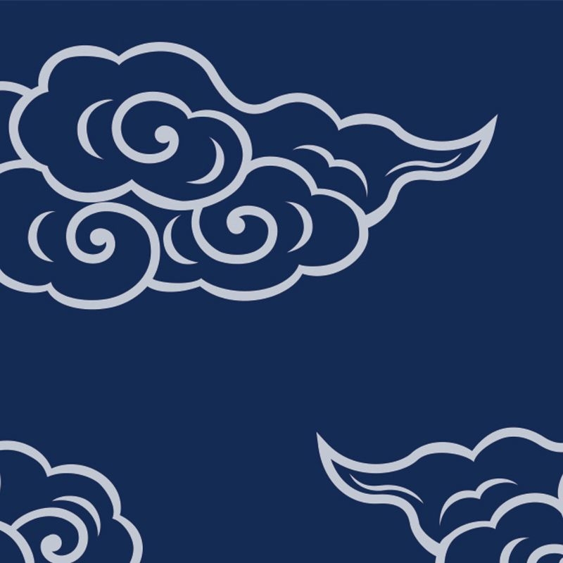 飛雲 HIUN
