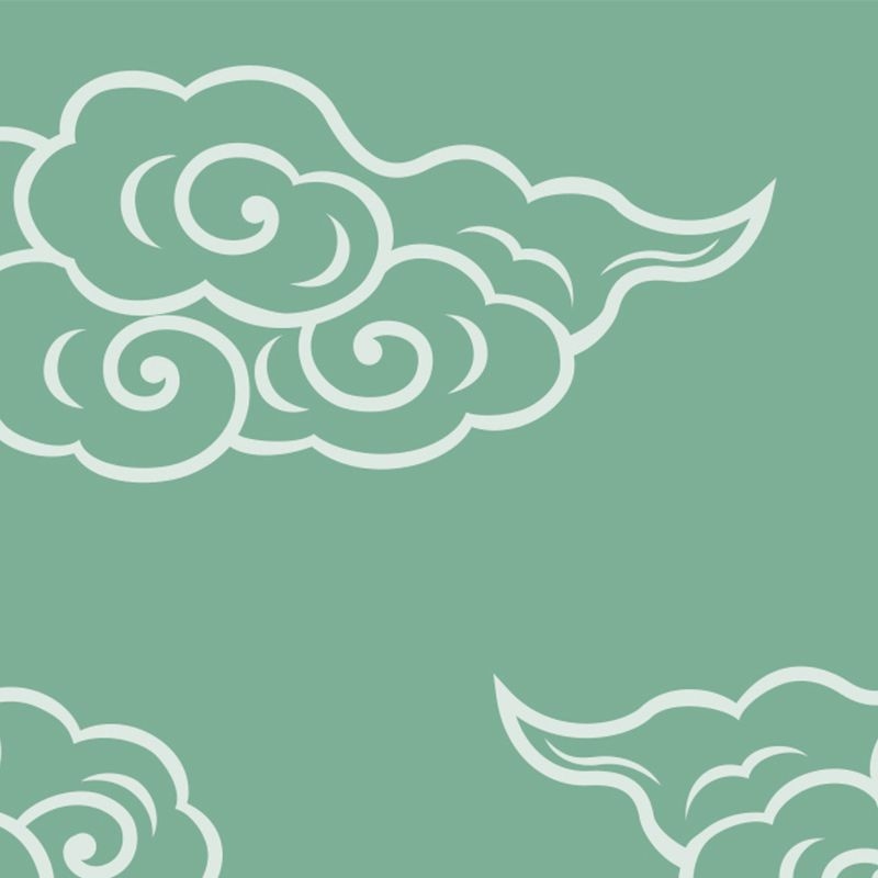 飛雲 HIUN