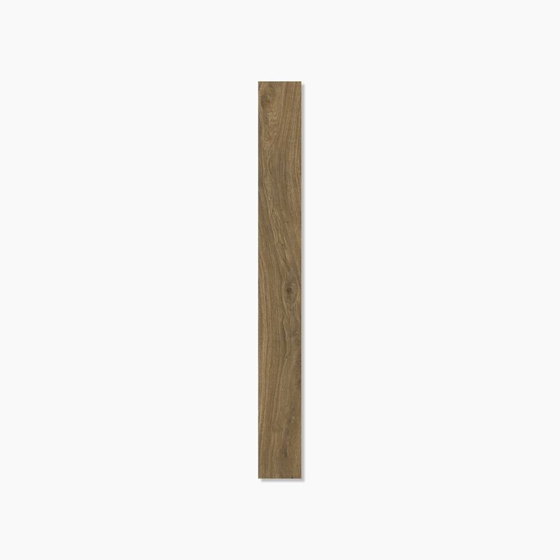 イラチ - Roble