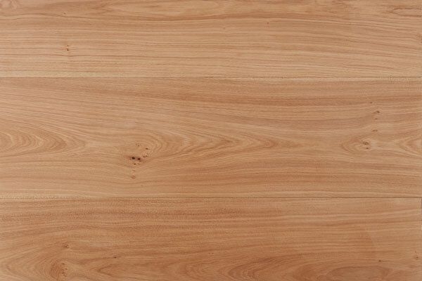 エックスオークノッティE300 - クリア塗装品
